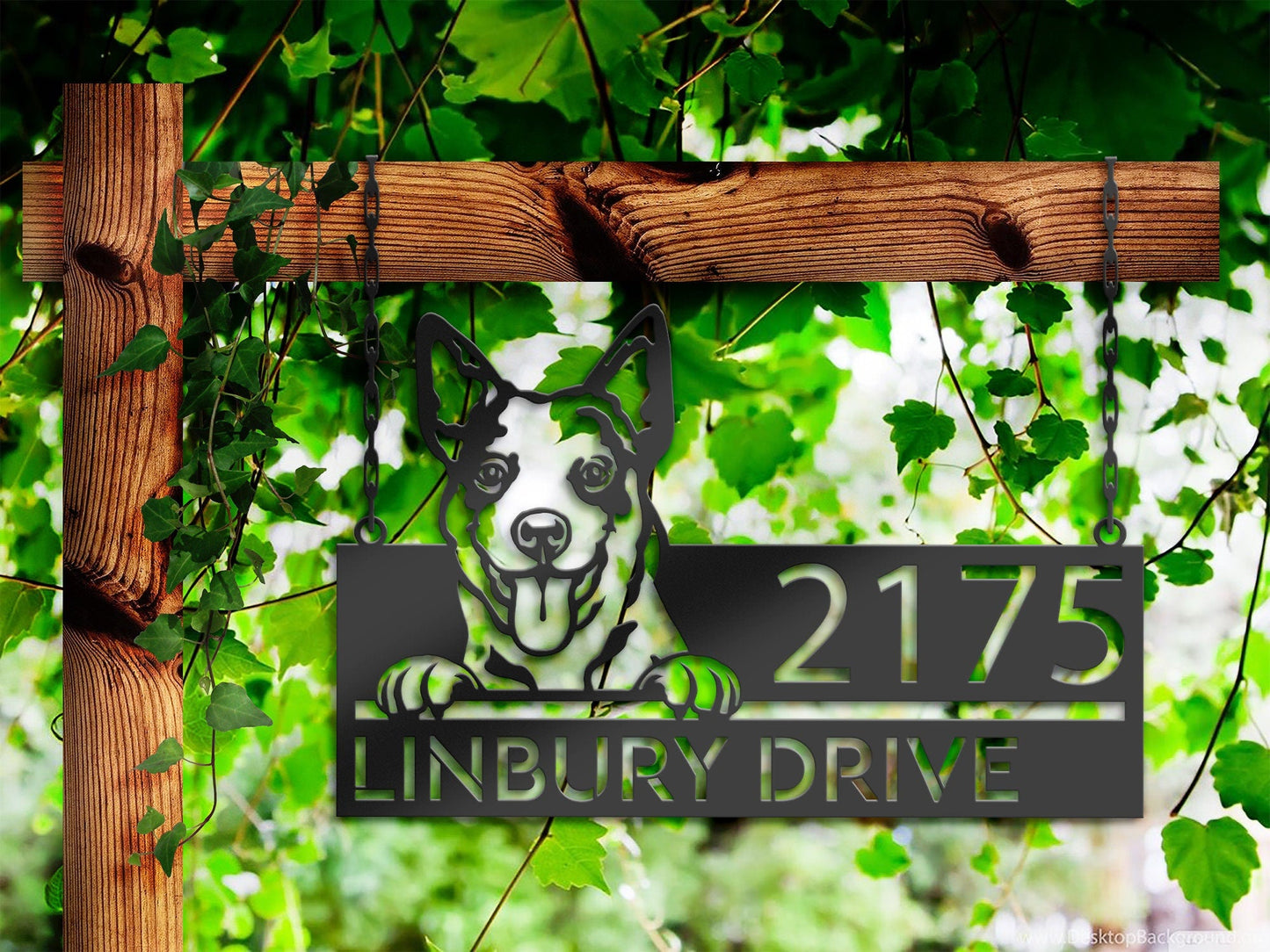 Personalized Australian Cattle dog, cute puppy Metal Address Sign House number Hanging Address Plaque Yard Sign Outdoor decor Garden Stake